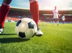 德国杯首轮,美因茨对阵,多特蒙德,皇冠体育app下载,皇冠体育官网,澳门皇冠体育,bet皇冠体育在线