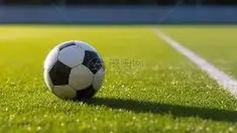 皇冠体育app下载